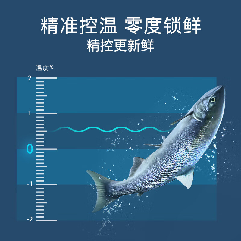 西门子KT574191AC冰箱图片