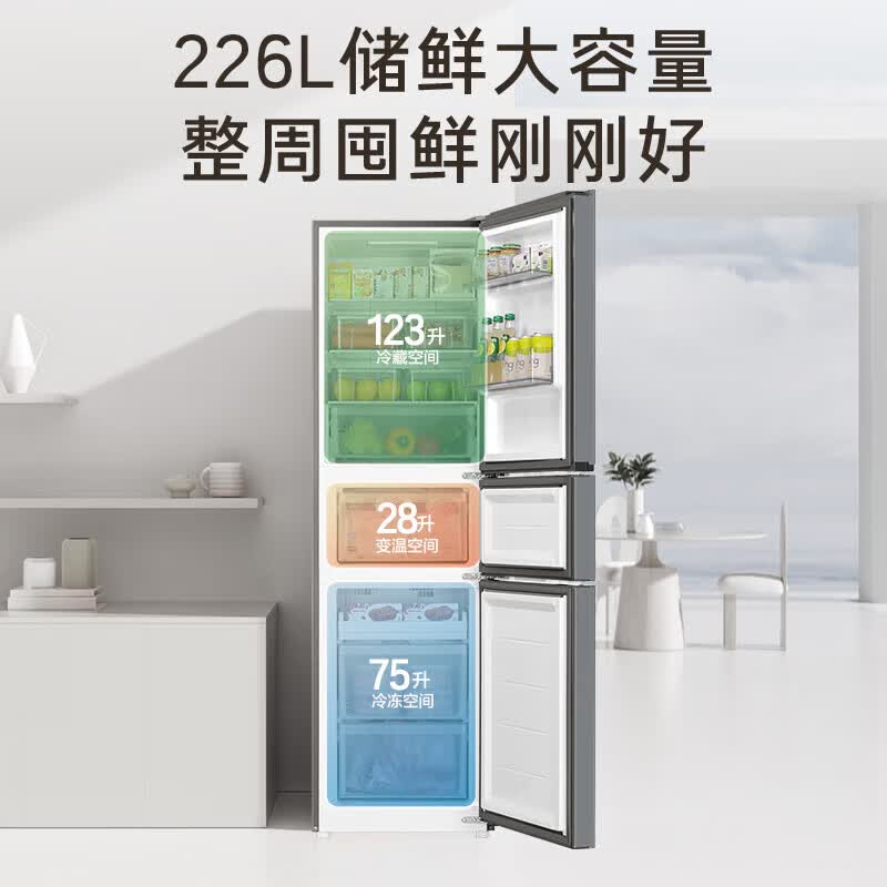 海尔BCD-226WGHC3E9XM冰箱图片