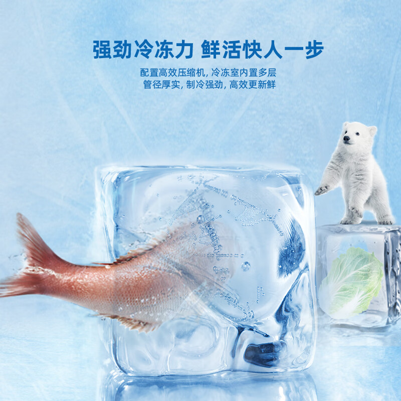 上菱BMM217L冰箱图片