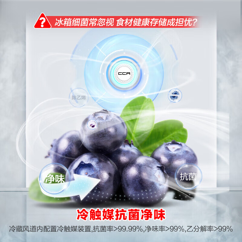 容声BCD-635WD13HP冰箱图片