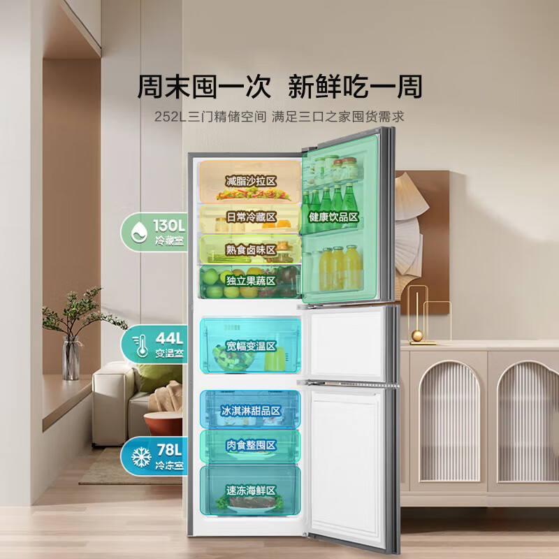 海信BCD-252WYK1DPUJ冰箱图片
