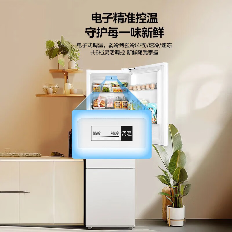 美的MR-230TE冰箱图片