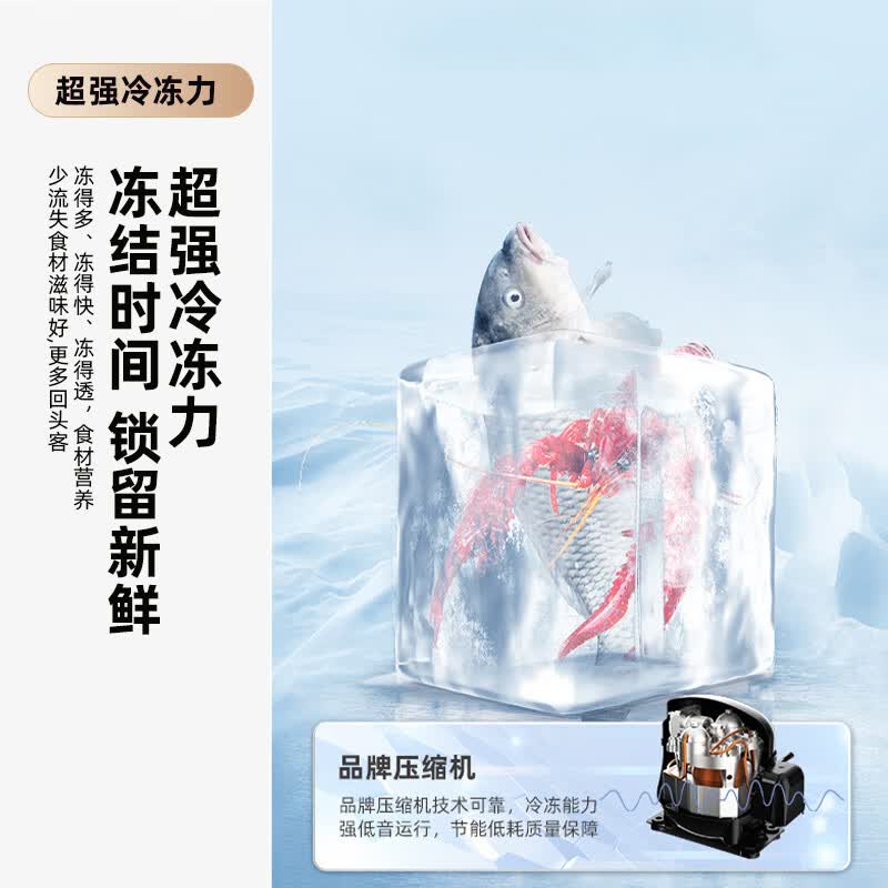 新飞BCD-185K2CT冰箱图片