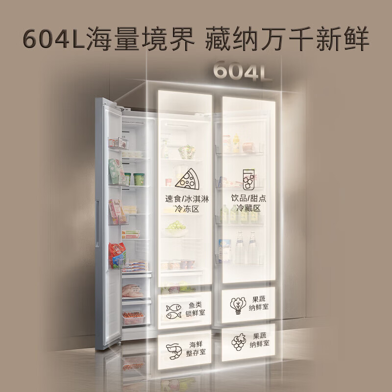 西门子KA98CE161C冰箱图片