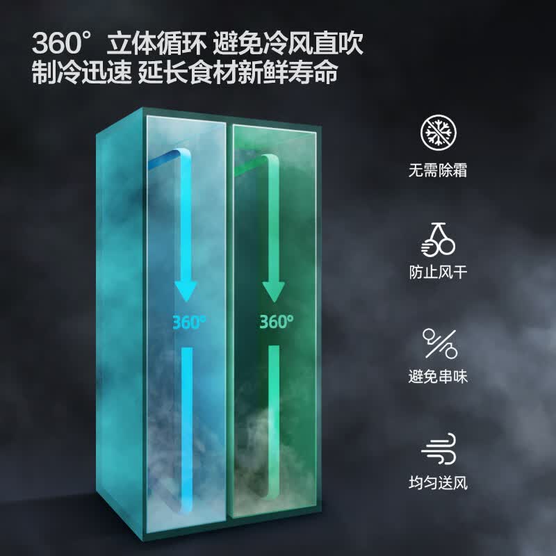 新飞BCD-610WK9CT冰箱图片