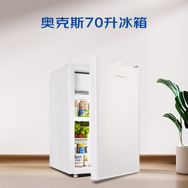 奥克斯BC-70P128L冰箱图片