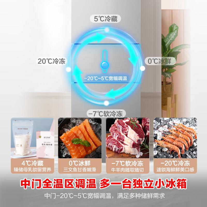 容声BCD-253WD12NP冰箱图片