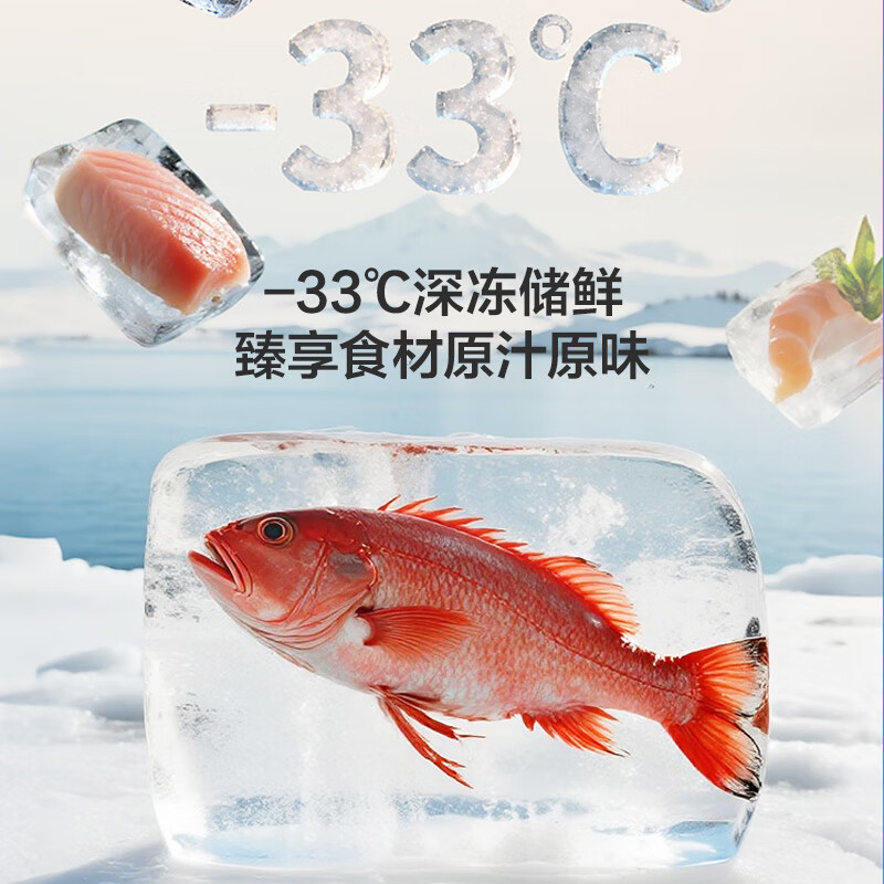 格力BCD-658WGNEK2SPDCA冰箱图片