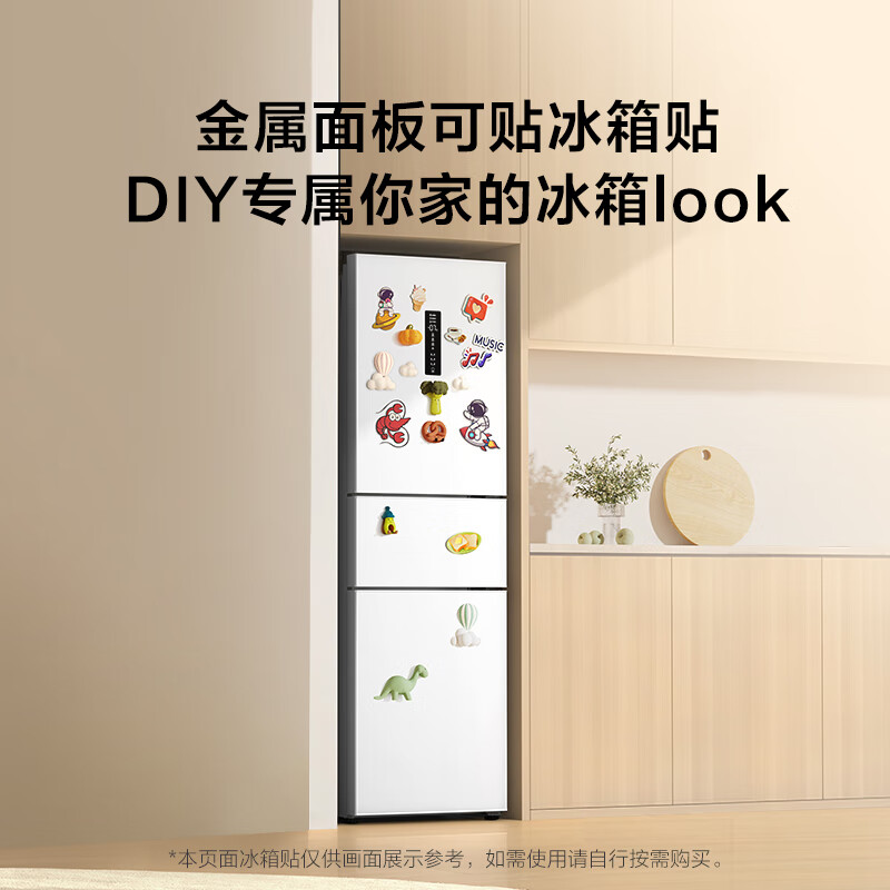 TCL-R260V5-C冰箱图片
