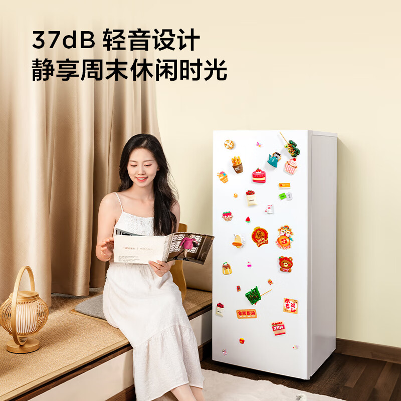 TCL-R118L3-A冰箱图片