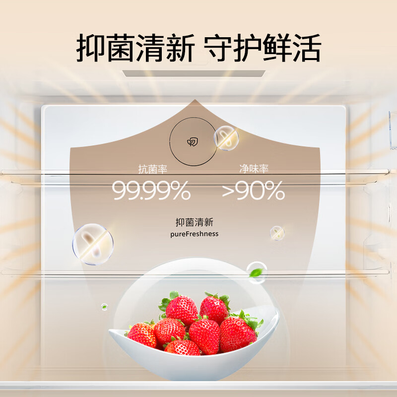 西门子KC88CE163C冰箱图片