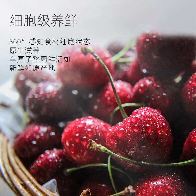 卡萨帝BCD-635WVPAU1冰箱图片