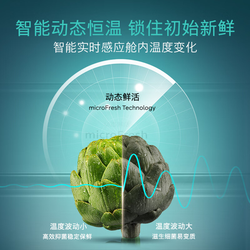西门子KT99V1356C冰箱图片
