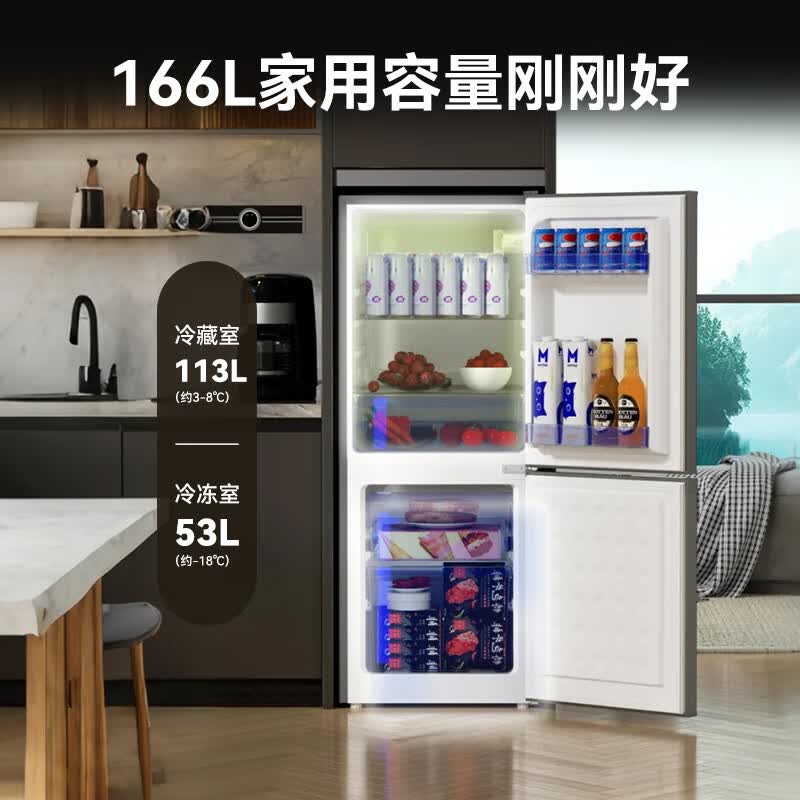 荣事达R166冰箱图片