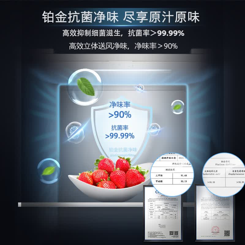西门子KC550281EC冰箱图片