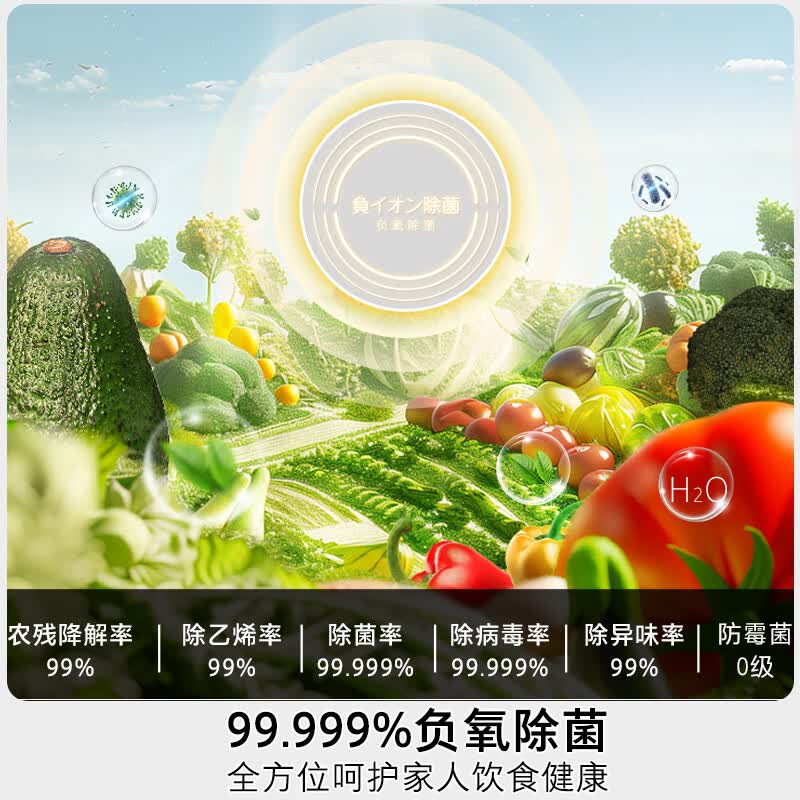 东芝GR-RF559WI-PG1B1冰箱图片