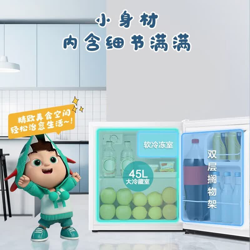 海信BC-45S/A冰箱图片