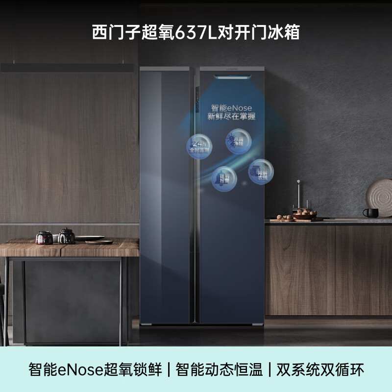 西门子KA99VA356C冰箱图片