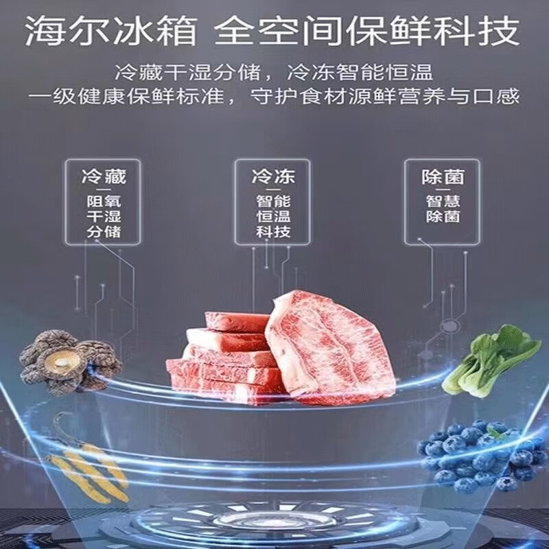 海尔BCD-491WGHTDB9BFU1冰箱图片