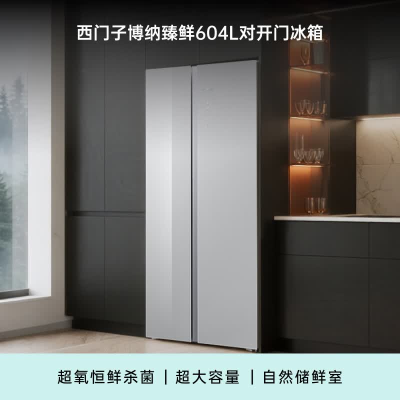 西门子KA98CEA63C冰箱图片