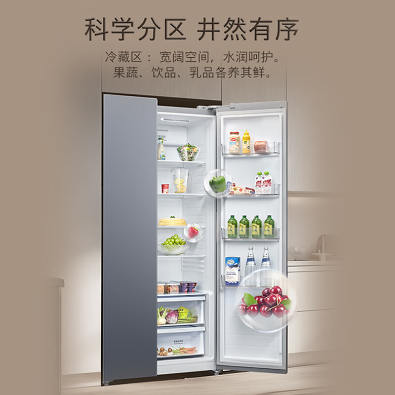 西门子KA98CE161C冰箱图片