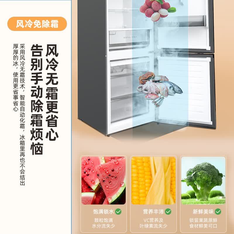 新飞BCD-311WK2AT冰箱图片
