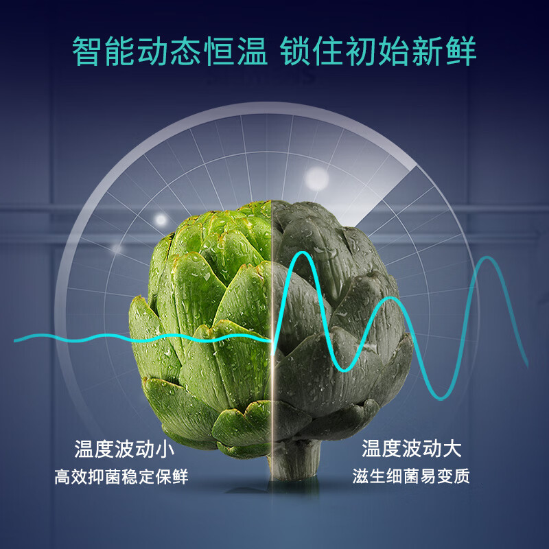 西门子KA99VA356C冰箱图片
