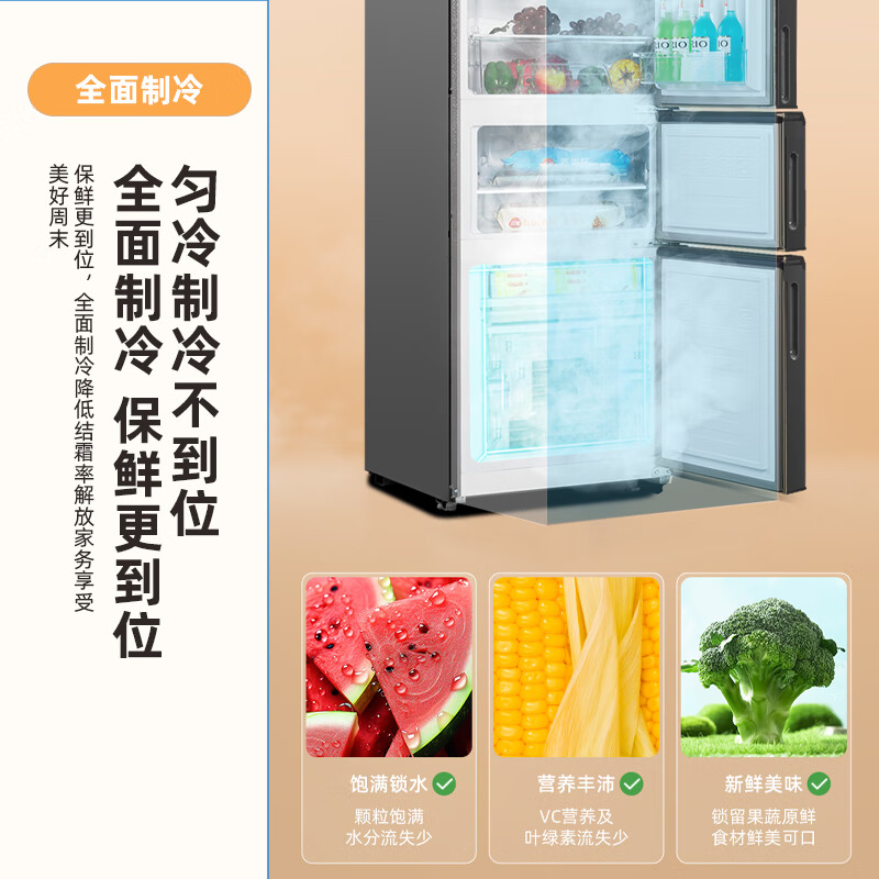 新飞BCD-221WK3AT冰箱图片