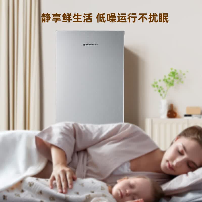 上菱BMM217L冰箱图片