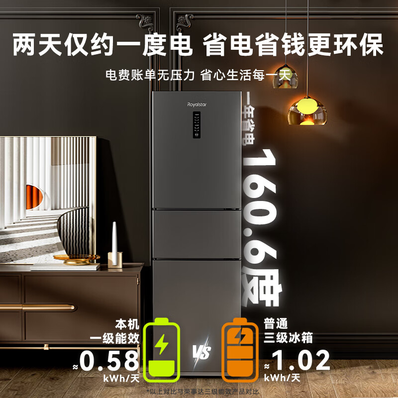 荣事达R256FT冰箱图片