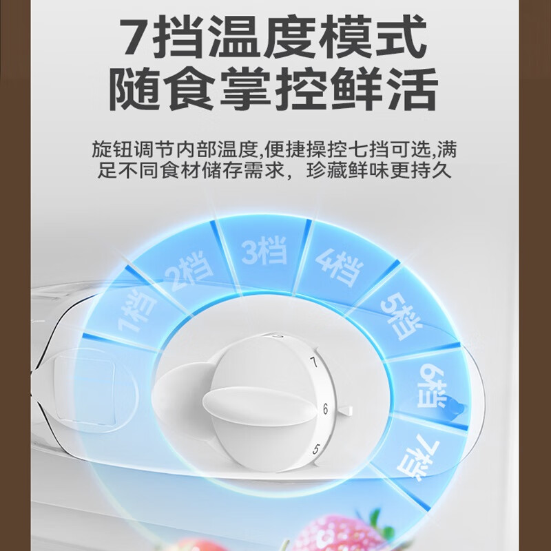 长虹CR-173冰箱图片