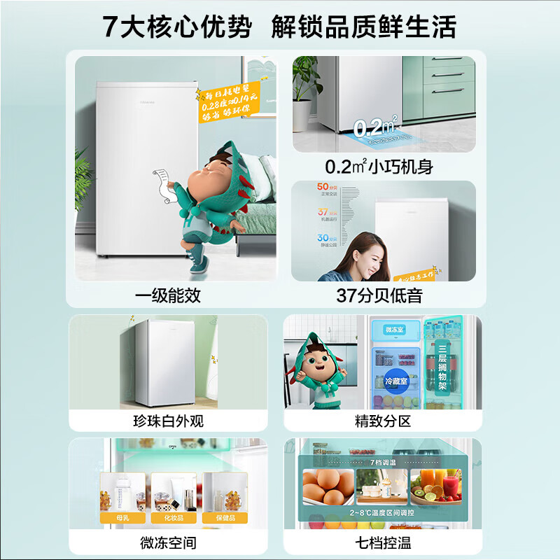海信BC-95S/A冰箱图片
