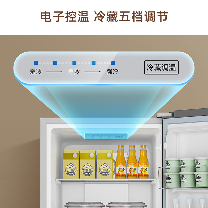 创维P18WY冰箱图片