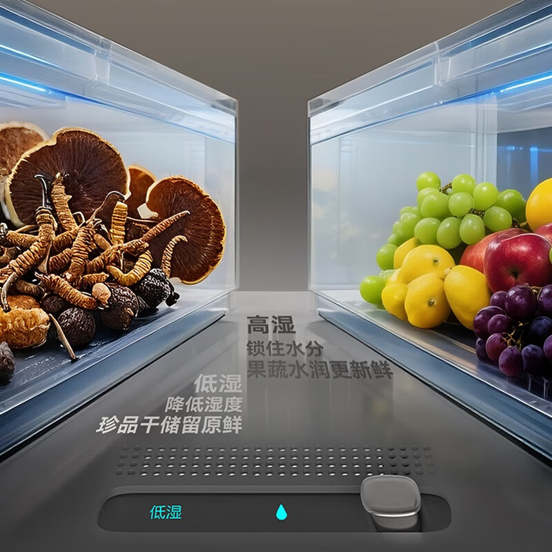 长虹CR-FW516冰箱图片