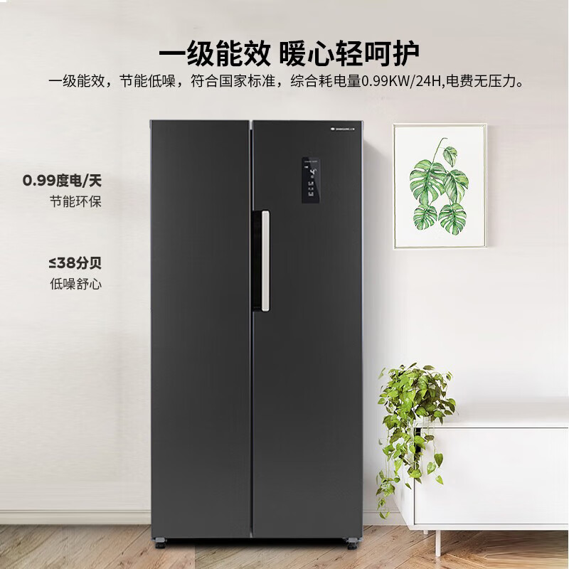 上菱BSE601PWL冰箱图片