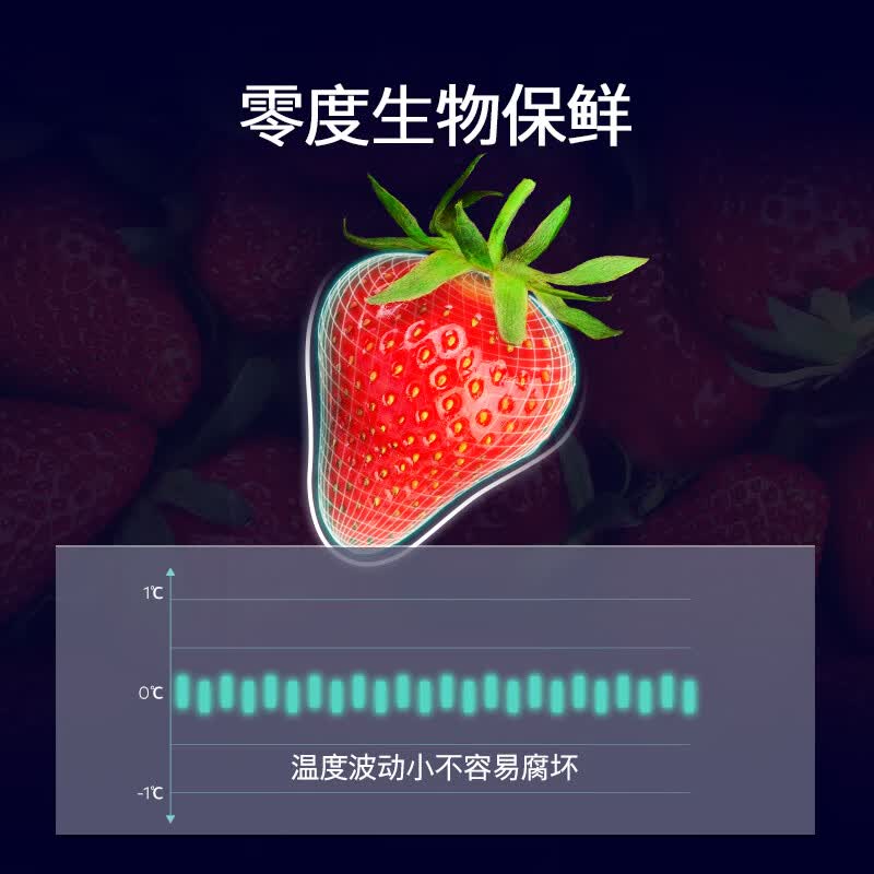 西门子KC82VA320C冰箱图片