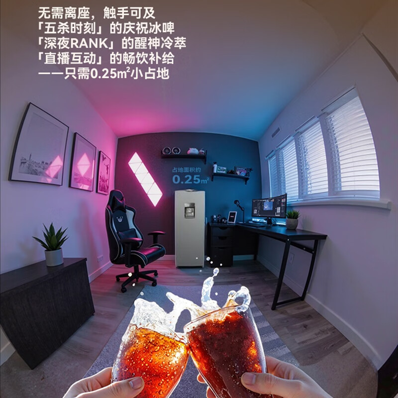 长虹CR-173冰箱图片