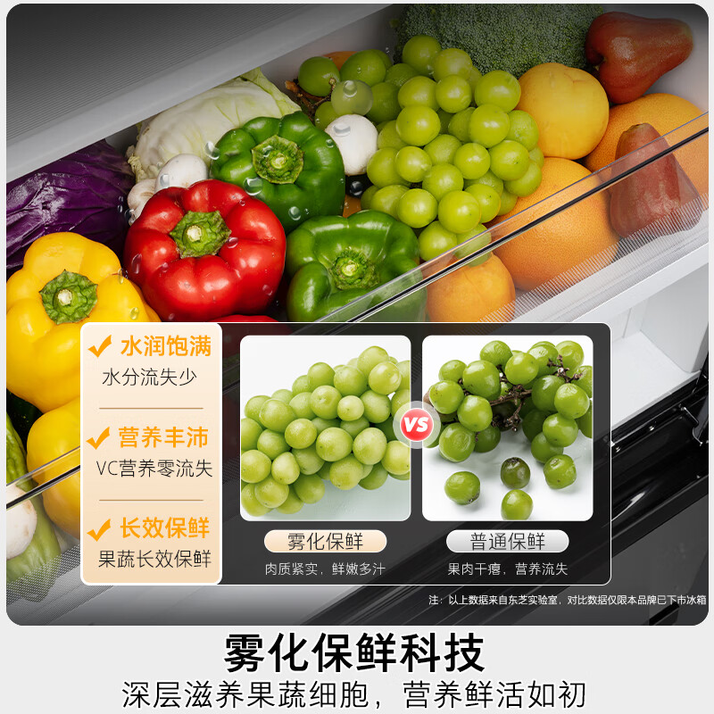 东芝GR-RF559WI-PG1B1冰箱图片