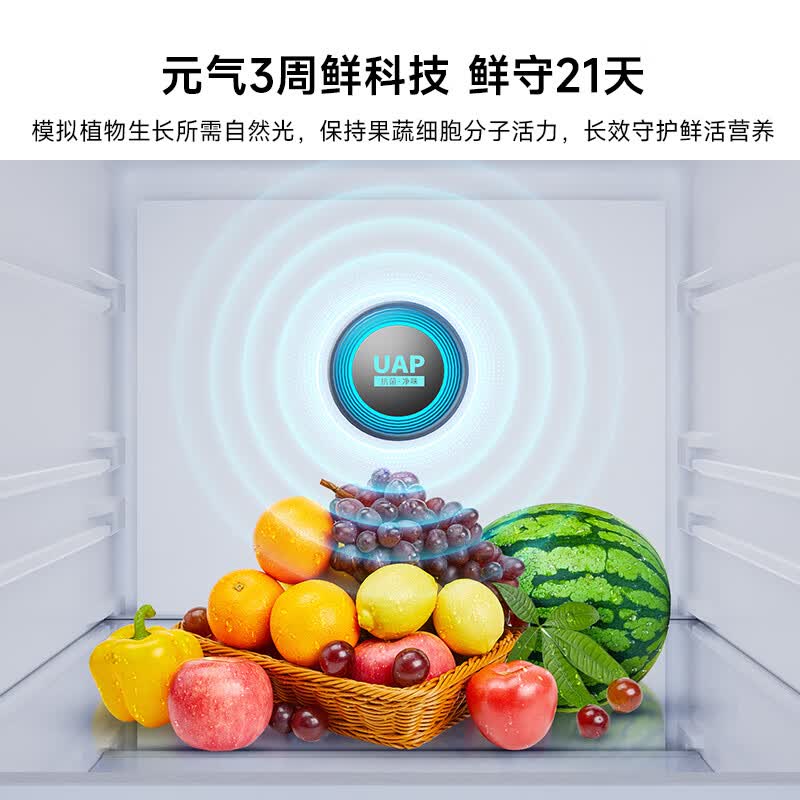 创维BCD-500W4QB1冰箱图片