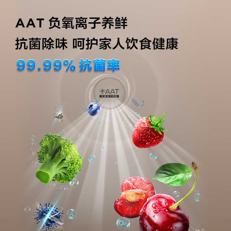 TCL-R261V7-C冰箱图片
