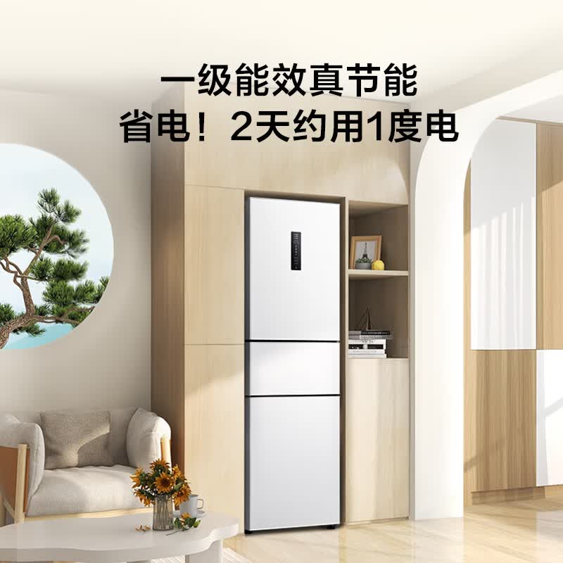 TCL-R260V5-C冰箱图片