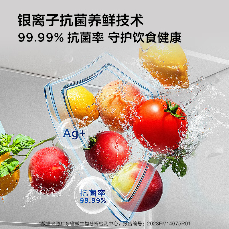 TCL-R608T9-U冰箱图片