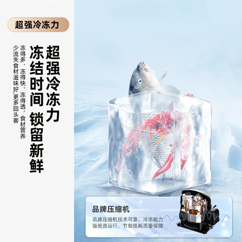 新飞BCD-175K2CT冰箱图片