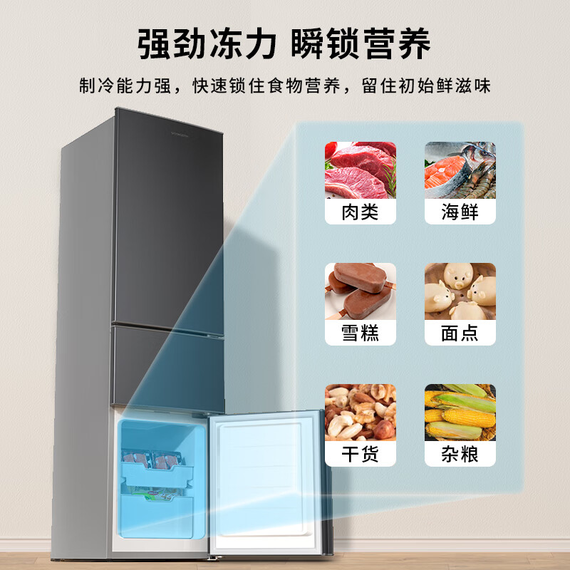 创维P21TJ冰箱图片