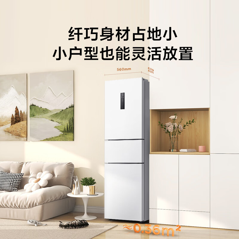 TCL-R260V5-C冰箱图片