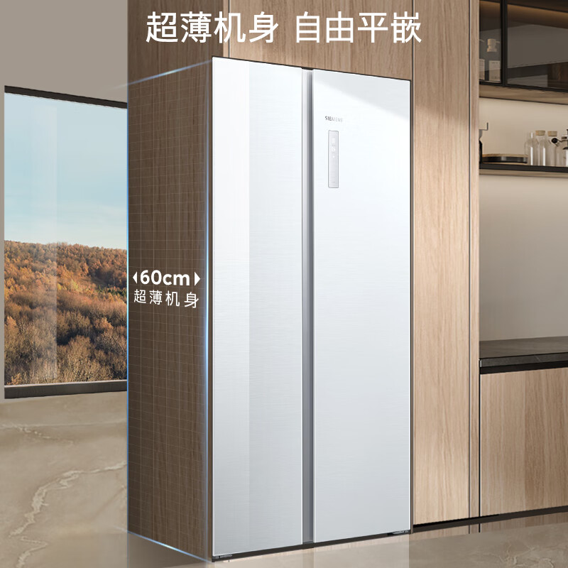 西门子KA99BE163C冰箱图片
