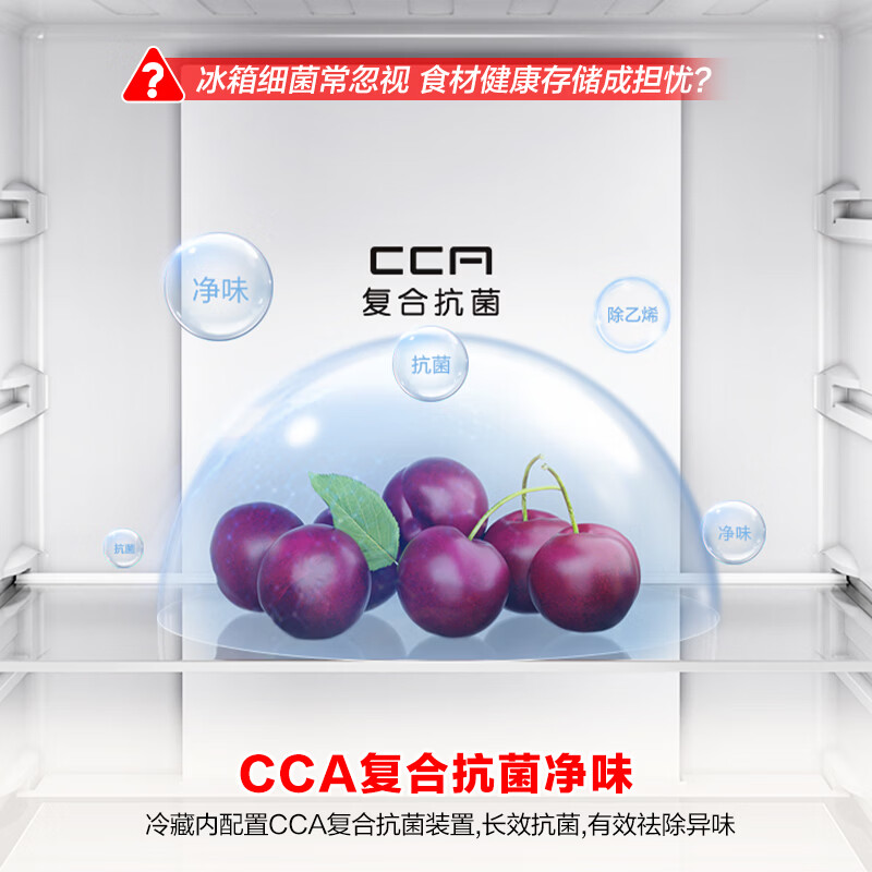 容声BCD-273E20RNLAJ冰箱图片