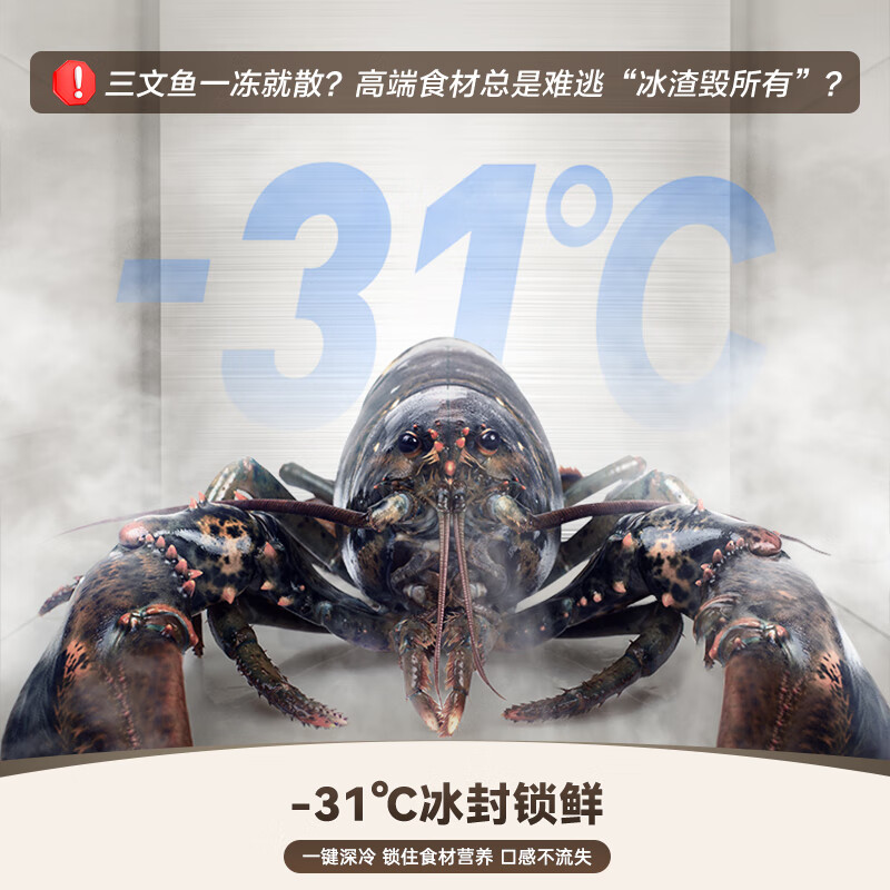 容声BCD-516WKM1MPGZA冰箱图片