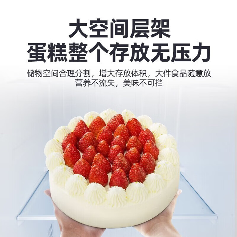奥克斯BCD-350WN冰箱图片