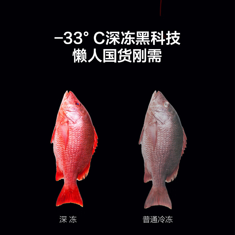 格力BCD-290WGJAG1BPDGA冰箱图片